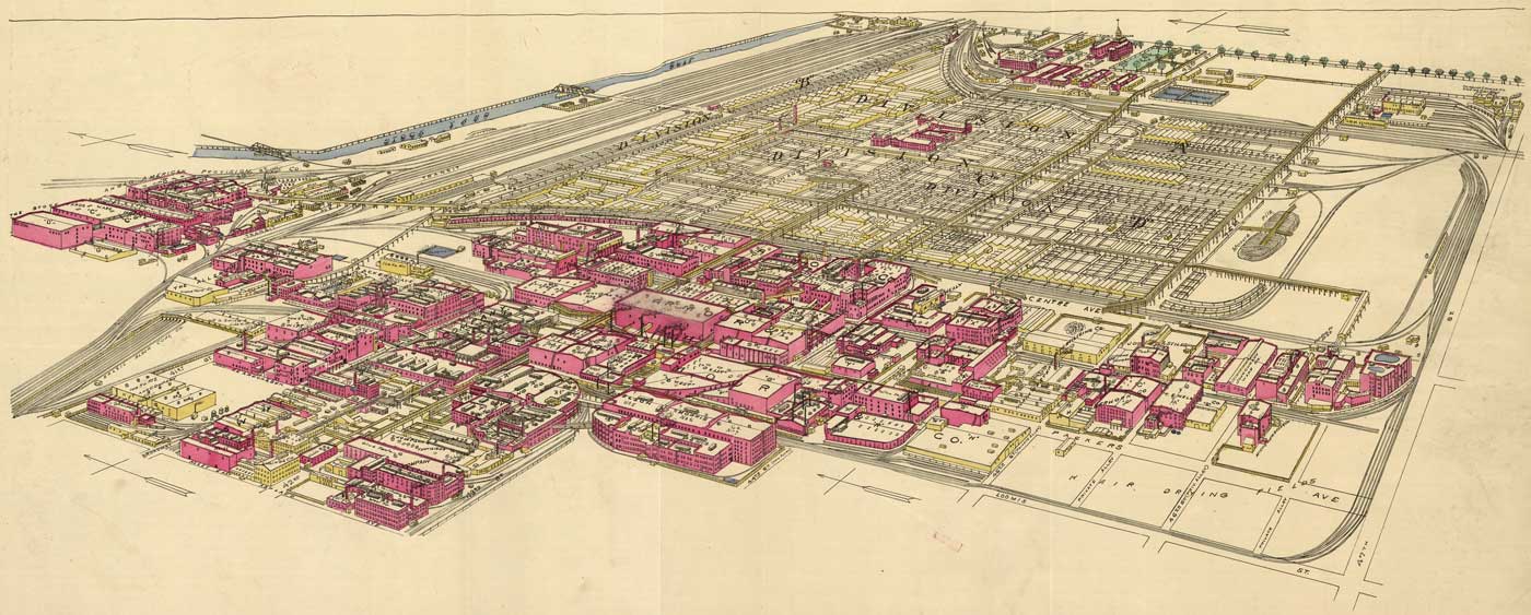 McKinley Park Survey