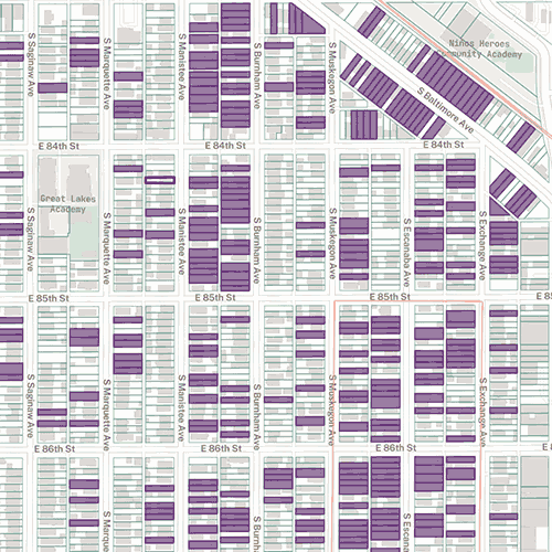 South Chicago Survey